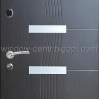Вхідні металеві двері (зразок 114)