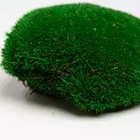 Стабилизированный мох Green Ecco Moss  кочка Натурально-зеленая - NATURAL GREEN - 4 кг
